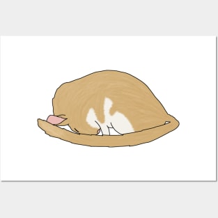 Cute sleeping golden gerbil Posters and Art